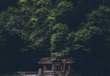 Exotic Trips are Getting More and More Popular in South America