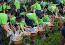 吉华K校永续发展观念——独一无二的绿化校园